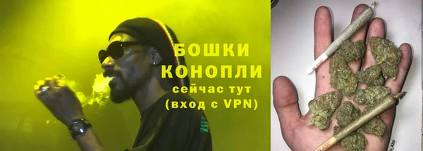 прущие крисы Киренск