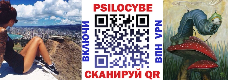 Купить закладки  Гусев  Псилоцибиновые грибы прущие грибы 